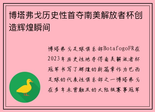 博塔弗戈历史性首夺南美解放者杯创造辉煌瞬间 博塔弗戈历史性首夺南美解放者杯创造辉煌瞬间