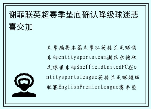 谢菲联英超赛季垫底确认降级球迷悲喜交加